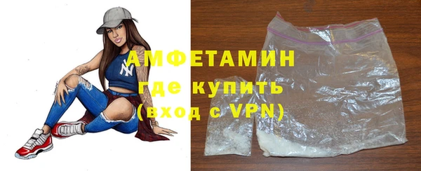 прущие грибы Богданович