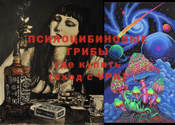 прущие грибы Богданович