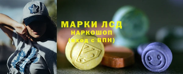 прущие грибы Богданович