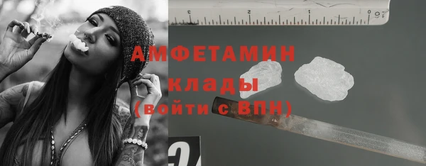 трава Богородицк