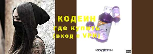прущие грибы Богданович