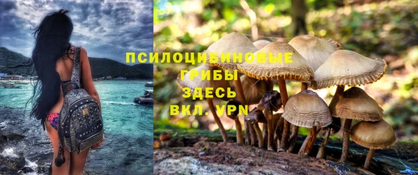 трава Богородицк