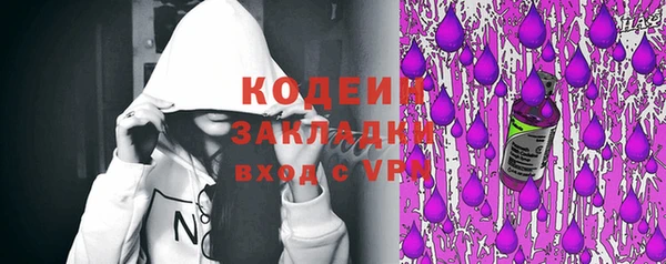 прущие грибы Богданович