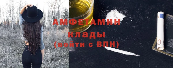 прущие грибы Богданович
