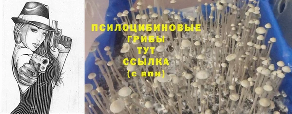 трава Богородицк
