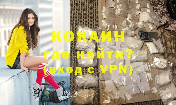 прущие грибы Богданович