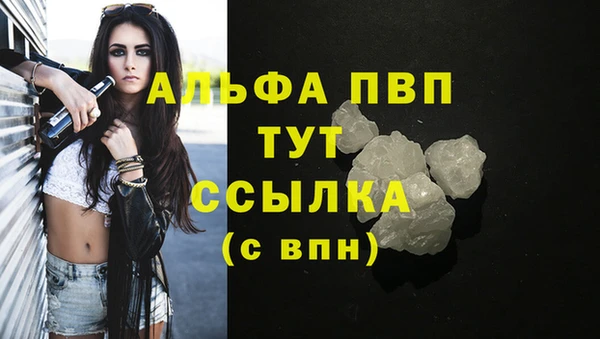 прущие грибы Богданович