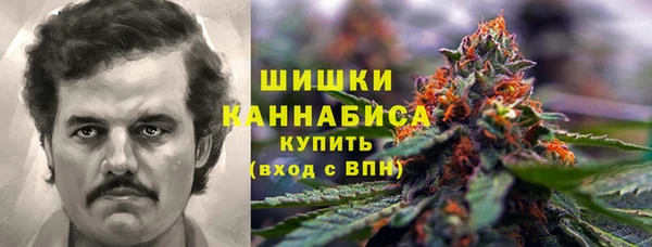 прущие грибы Богданович