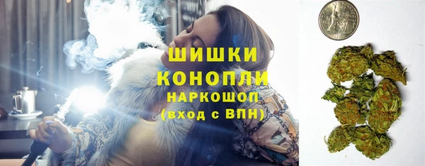 прущие грибы Богданович
