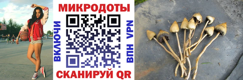 маркетплейс телеграм  даркнет сайт  Бирюч  Галлюциногенные грибы Magic Shrooms 